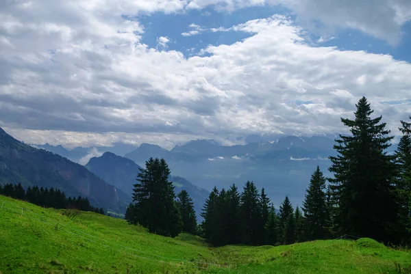 View Lake Lucerne Slope Mount Rigi Switzerland — Stock Photo, Image
