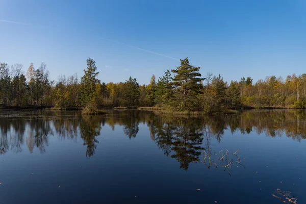 Territorio Sestroretsk Riserva Palude San Pietroburgo Russia — Foto Stock