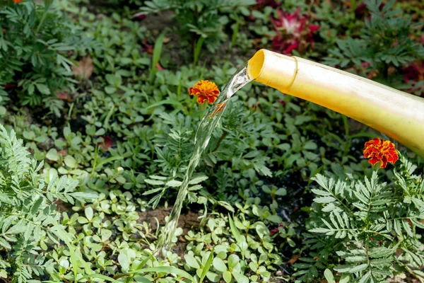 Ogrodowe Konewka Wody Kwiaty Kwietnik Prace Ogrodzie Miejsce — Zdjęcie stockowe