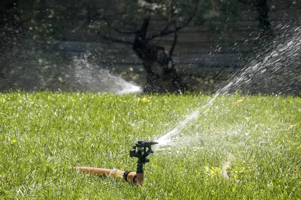 system of watering lawn grass on a hot summer day. Copy space