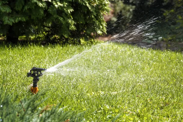 Water Sprinkler Pours Lawn Grass Hot Summer Day — Stock Photo, Image
