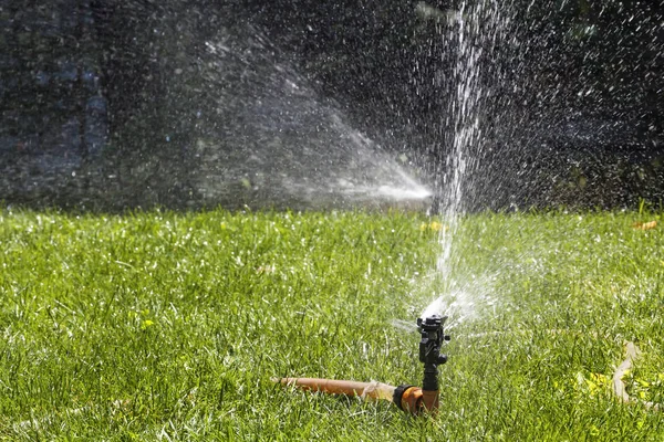 Sistema Irrigazione Erba Prato Una Calda Giornata Estiva — Foto Stock