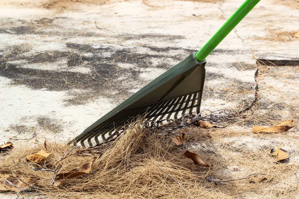 Lüfterharken Entfernen Müll Gras Und Umgefallenes Laub Kopierraum — Stockfoto