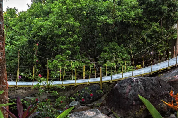 Пешеходный подвесной мост через реку в тропических лесах — стоковое фото