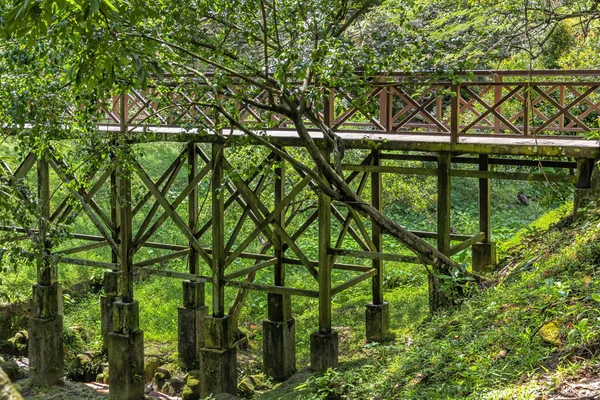 Alte Holzbrücke über eine Schlucht in einem tropischen Wald — Stockfoto