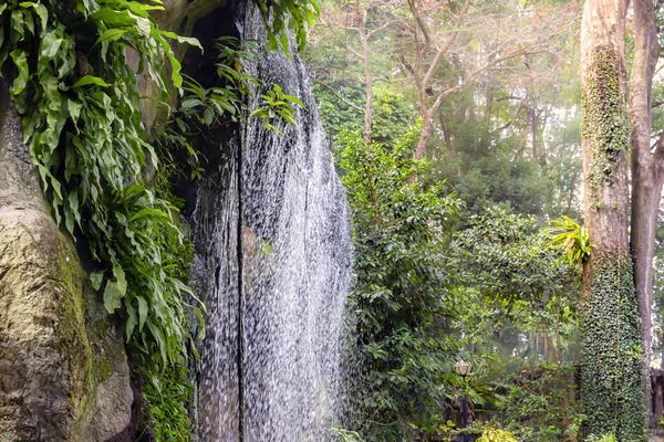 Небольшой водопад в тропическом лесу в солнечный день . — стоковое фото