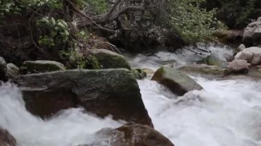 Kaba dağ nehri büyük taşlar arasında akar