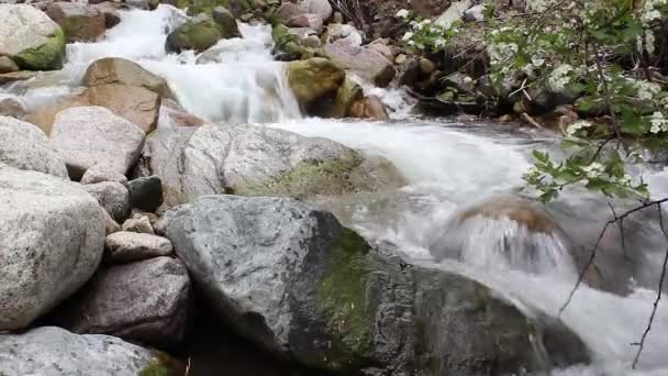粗糙的山河在大石头之间流动 — 图库视频影像