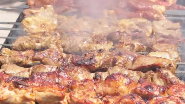 Grillen Van Een Traditionele Oosterse Barbecue Een Metalen Spiesje Met — Stockvideo