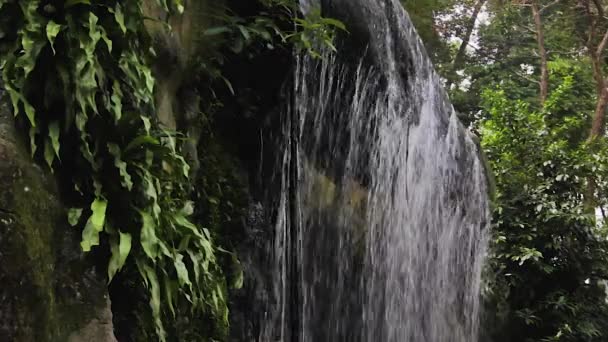 热带森林中的水流瀑布 — 图库视频影像