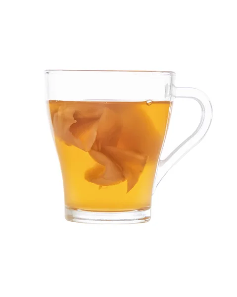 Bir bardak ev yapımı fermente içecek Kombucha . Beyaz arka planda yalıtılmış