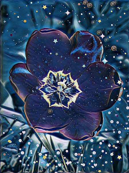 夜光下的神秘花 — 图库照片