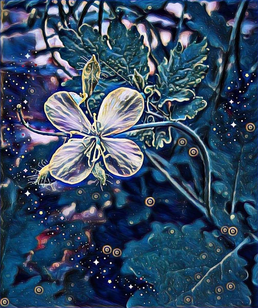 Baharda fantastik gece çiçek açan çiçek.