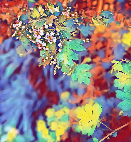 Baharda bahçede dikenli beyaz çiçekler. Yeşil bahçeye karşı bembeyaz dururlar