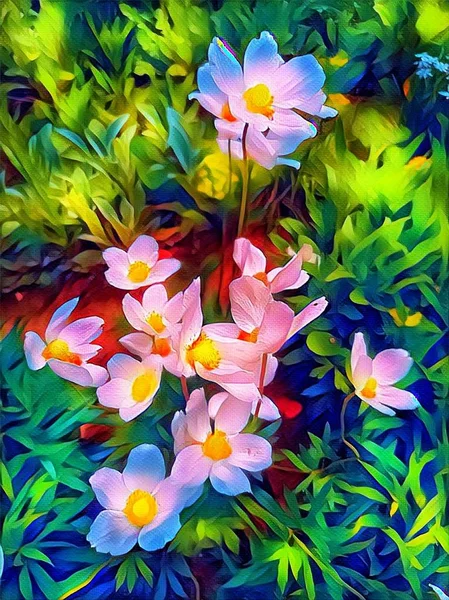 Весенние Цветы Мае Клумбе — стоковое фото
