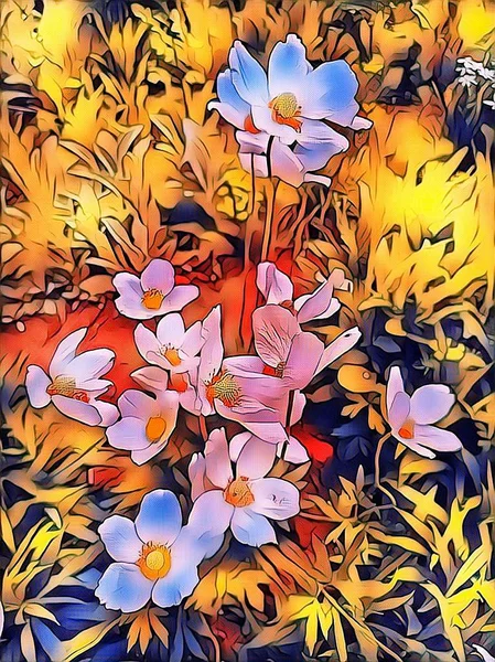 Mai Weiße Frühlingsblumen — Stockfoto