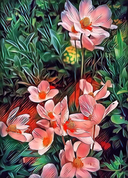 Bir çiçek yatağında Mayıs ayında ilkbaharda güzel beyaz çiçekler