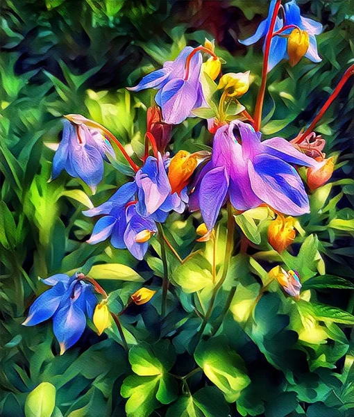 Blüten Des Einzugsgebietes Frühling Auf Einem Beet Garten — Stockfoto