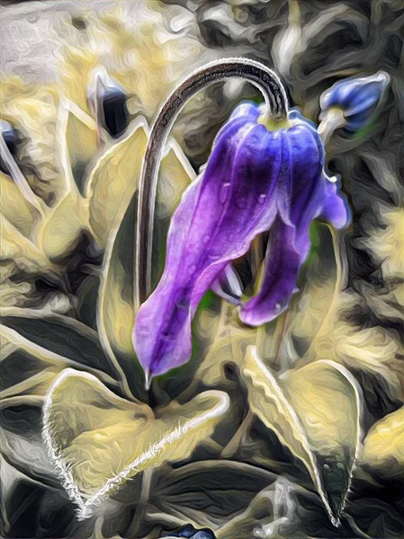 Весна Цветения Клумбе — стоковое фото