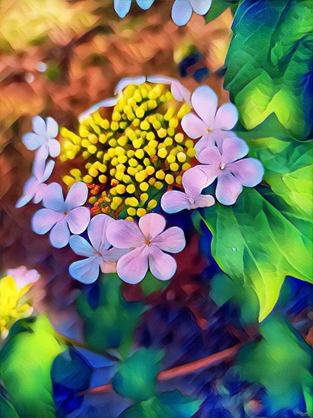 Une Couronne Fleurs Délicates Sur Buisson Sur Pelouse — Photo