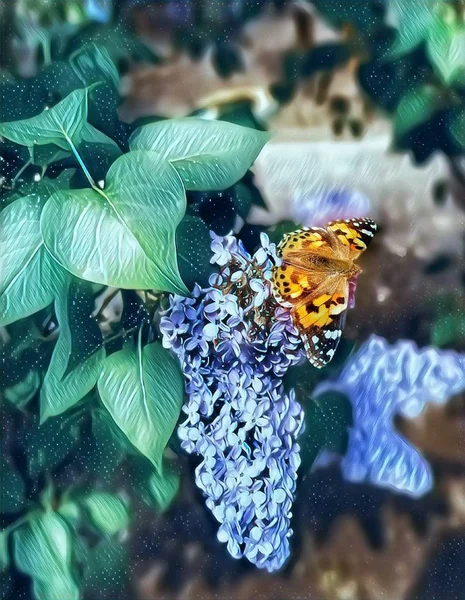 Baharda leylak çalırenkli kelebek