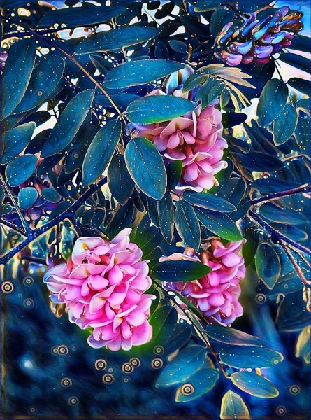 Evin yakınındaki bir ağaçta ilkbaharda akasya pembe çiçekleri