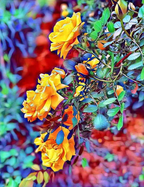 Baharda evin yakınındaki çalılıkta sarı bukleli güller