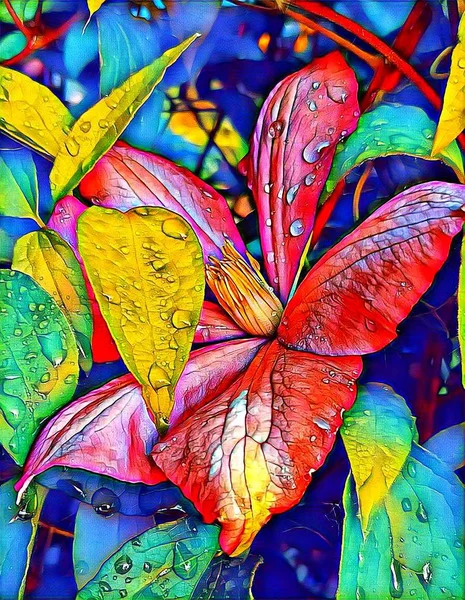 Clematis bir yatakta evin yakınında baharçiçekleri