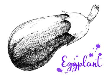 Beyaz bir arka plan üzerinde patlıcan yalıtım kroki. Vektör