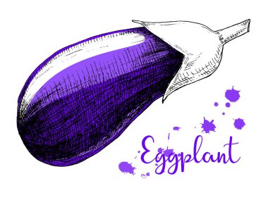 Beyaz bir arka plan üzerinde patlıcan yalıtım kroki. Vektör