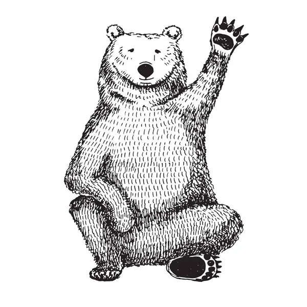 Рисунок Размахивающего Медведя Векторная Иллюстрация — стоковый вектор