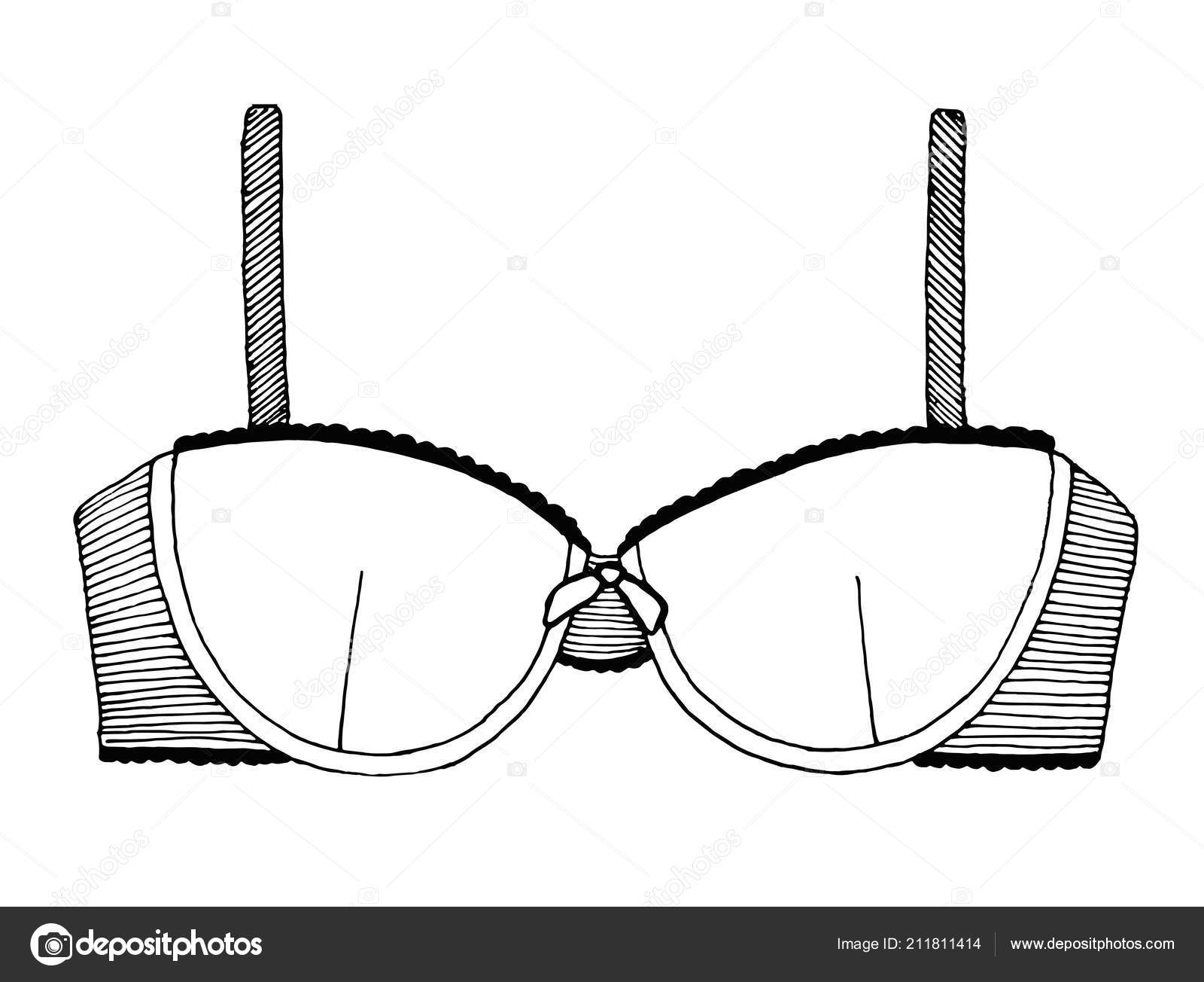 Sketch Lingerie Female Bra White Background Vector Illustration Stock ...