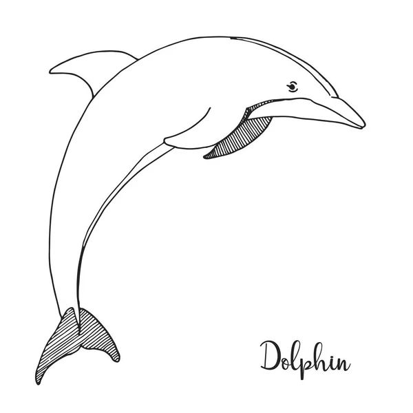 Ручной Дельфин Векторная Иллюстрация Стиле Эскиза — стоковый вектор