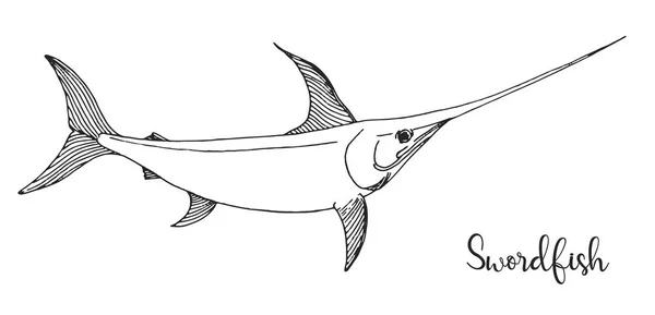 Pesce Spada Sguainato Mano Illustrazione Vettoriale Stile Schizzo — Vettoriale Stock
