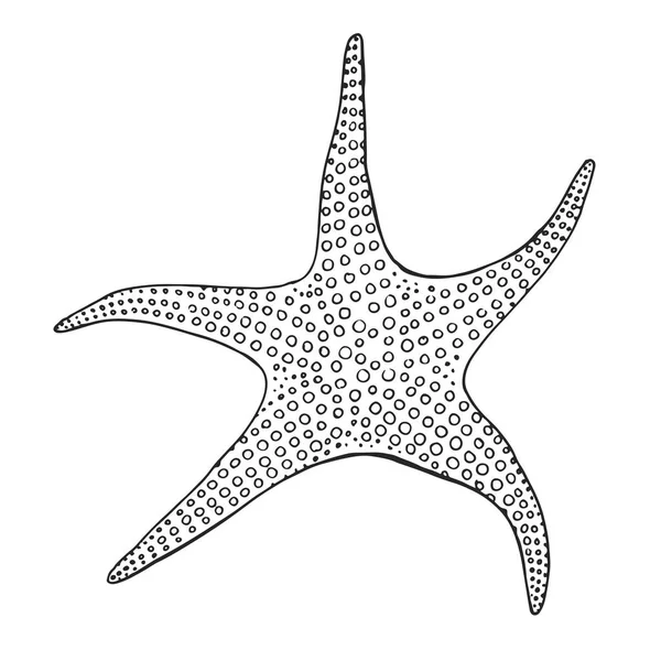 手绘海星 草绘样式中的矢量插图 — 图库矢量图片