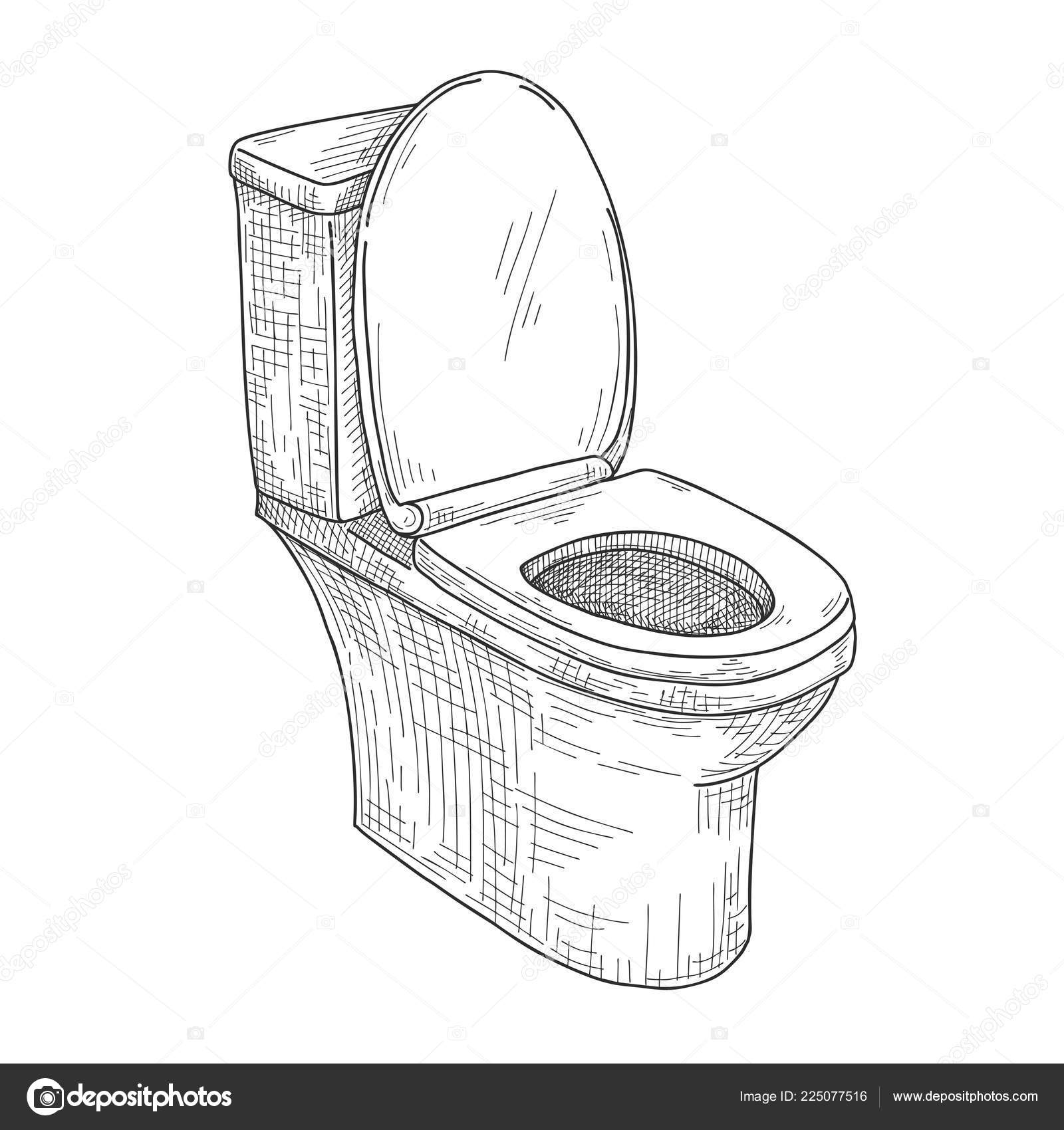 Sketch Toilet Bowl Isolated White Background Vector Stock Vector by  ©nadiia.kud.gmail.com 225077516, image size:1600x1700