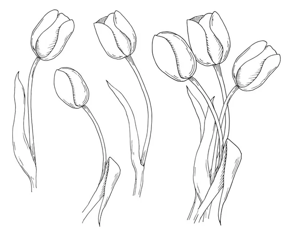 Эскиз Весенних Цветов Тюльпаны Изолированы Белом Фоне Векторная Иллюстрация — стоковый вектор