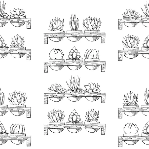 Croquis Trois Succulents Dans Des Pots Sur Support Bois Illustration — Image vectorielle