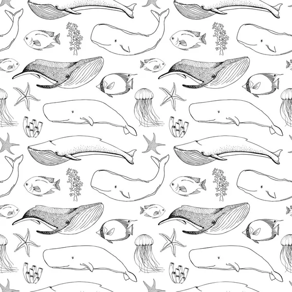 Balinalar, Orklar ve diğer balıklar ile Seamless modeli. Vektör