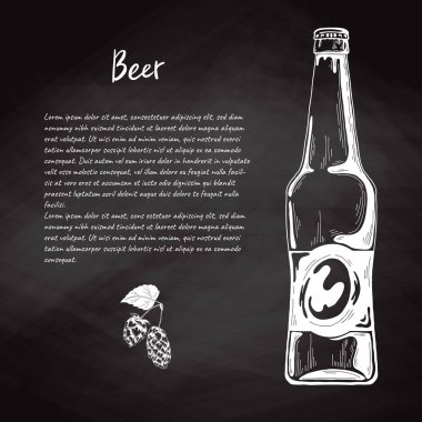 Bira şişesi kroki tarzı. Vektör çizim için çubuğu menüsü.