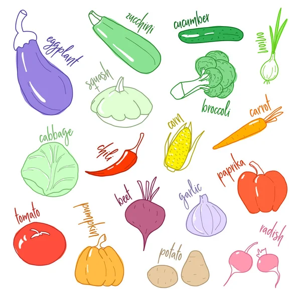 Ensemble Légumes Différents Dans Style Doodle Vecteur — Image vectorielle