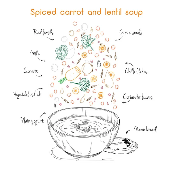 简单的汤食谱。辣胡萝卜和扁豆汤。向量 — 图库矢量图片