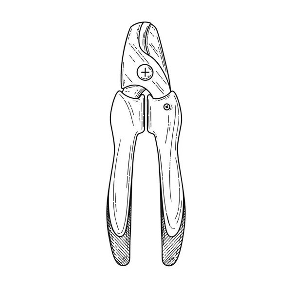 Pinza Pinze Strumento Mano Isolato Sfondo Bianco Illustrazione Vettoriale — Vettoriale Stock