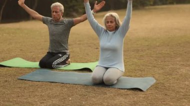 Huzurlu bir parkta paspaslar üzerinde yoga egzersizi yapan mutlu yaşlı çift esneklik ve denge üzerine odaklanıyor..