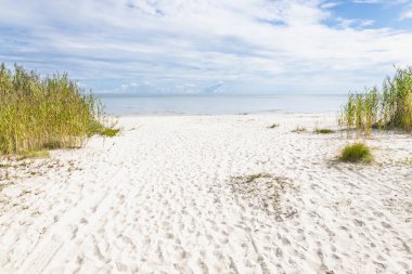 Huzurlu Baltık Denizi plajı. Parlak beyaz kum, kumlu çimenler ve yumuşak mavi gökyüzünün altında durgun turkuaz su..