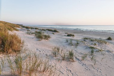 Huzurlu Baltık Denizi kıyıları kumlu kum tepeleri ve yumuşak altın ışıklı kum tepecikleri.