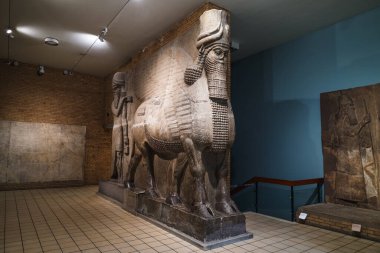 Sargon II Sarayı, Khorsabad 'dan Anıtsal Asurlu lamassu, Londra' daki British Museum 'da sergilendi. Antik Mezopotamya Muhafız Heykeli. Londra, İngiltere, 5 Mart 2023