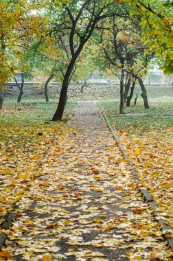 Sonbaharın başlarında, yaprak döken bir yol. Bak.