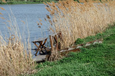 Yüksek sazlıklar, yeşil çimenler yaz mevsimi