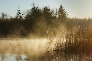 Sisli göl, arabadaki ayna yansıması, şafak güneşi.